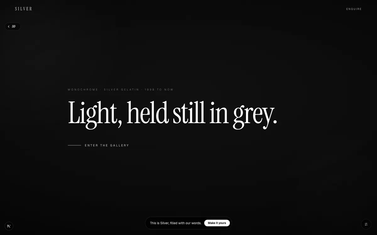 Silver, Fine-art monochrome. Silver-gelatin light, printed to the edge of black.